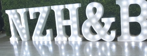 Light up NZ Hair and Beauty Sign